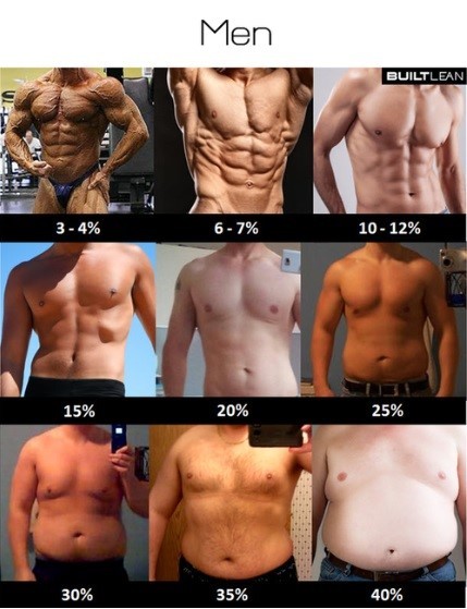 Body changes with body fat rates