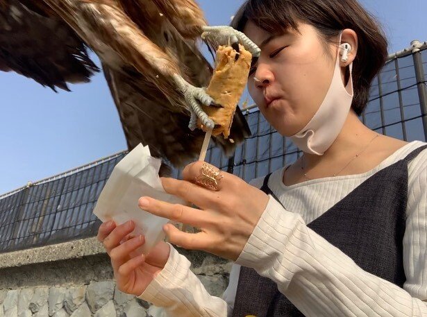 The reason why you shouldn't eat on the street.gif