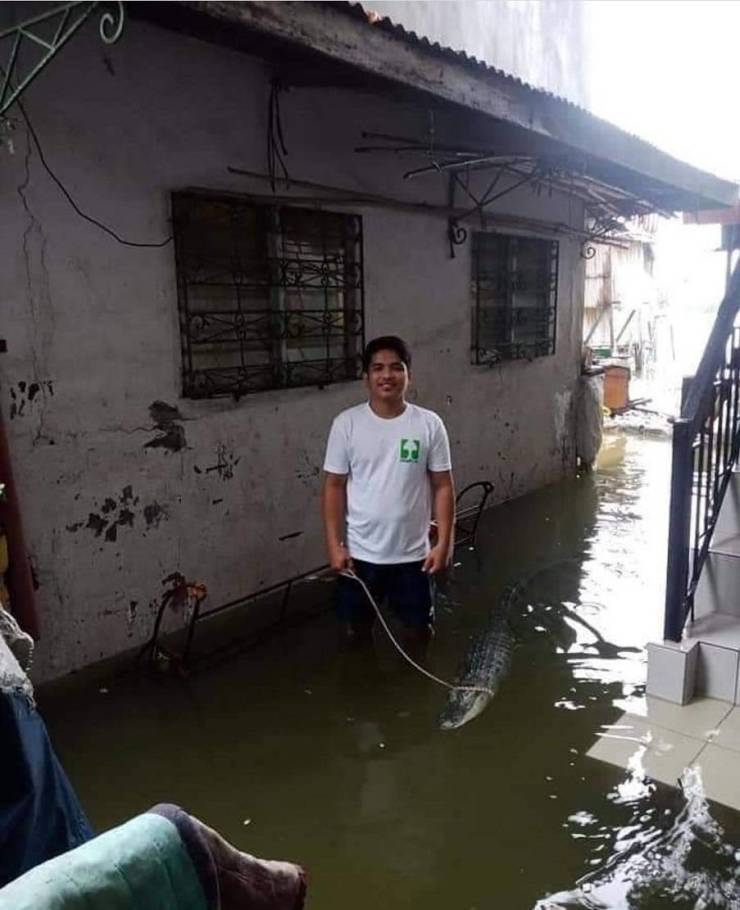 A pet made by the flood.