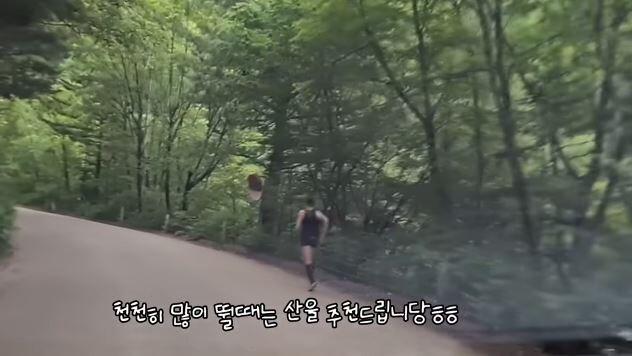 겁없이 산악러닝 40km 도전하는 여자유튜버. jpg
