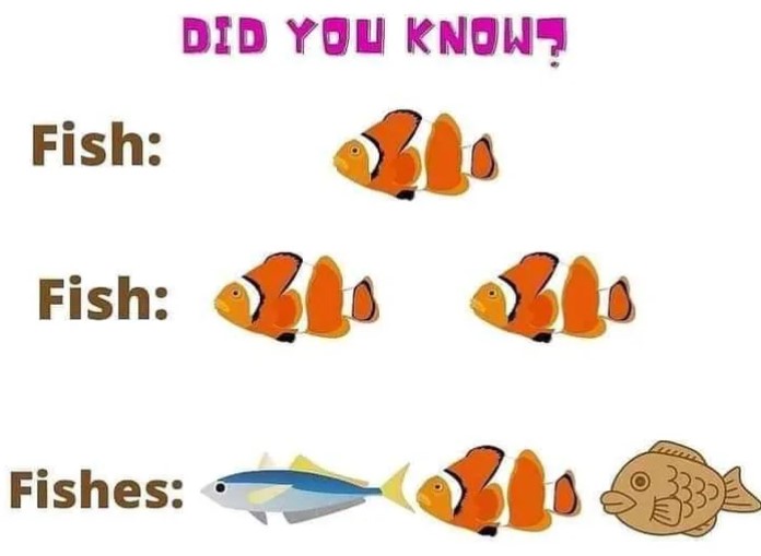 Plural form of Fish