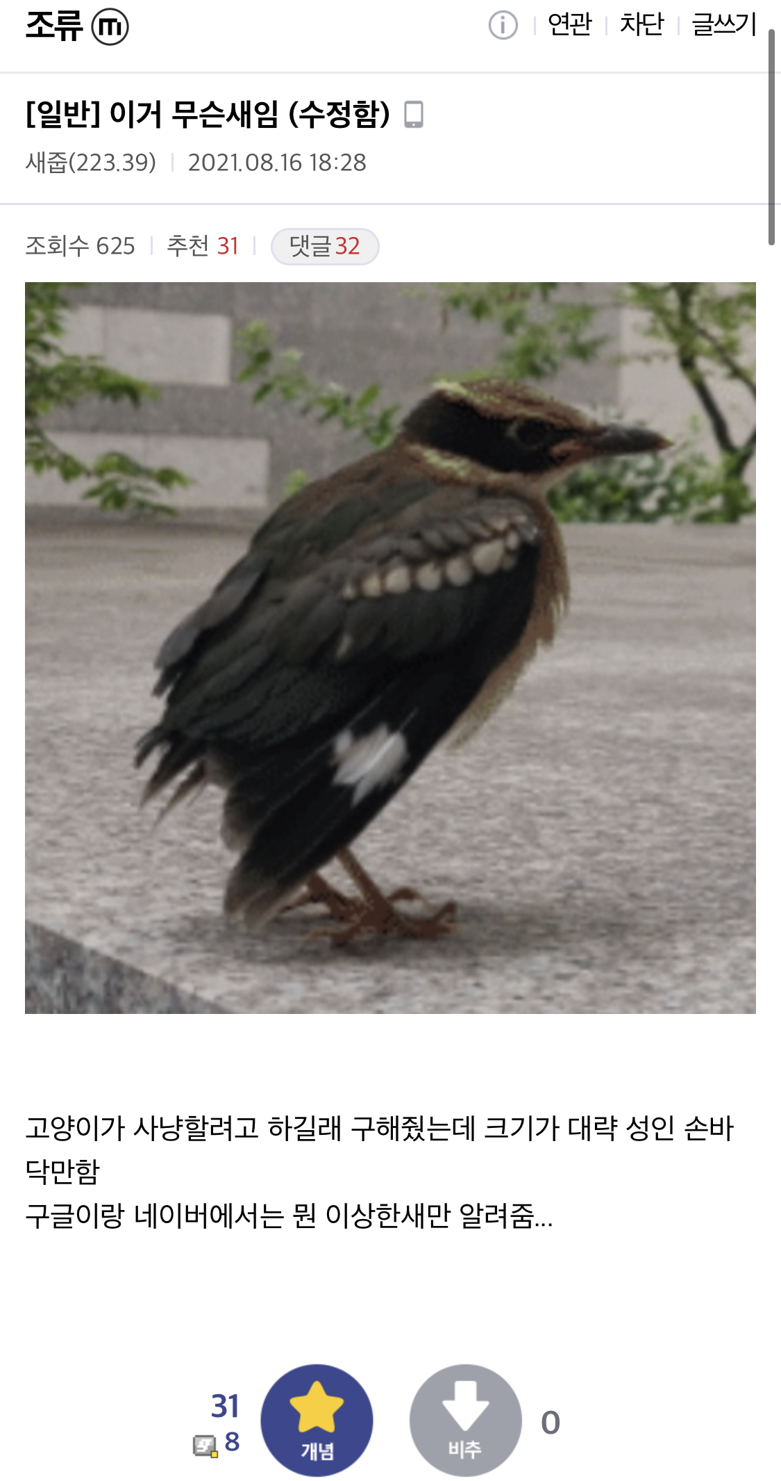 Legendary Bird's Pickup in the Bird Gallery.