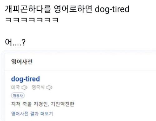 개피곤하다'를 영어로 하면 'dog-tired'냐? ㅋ