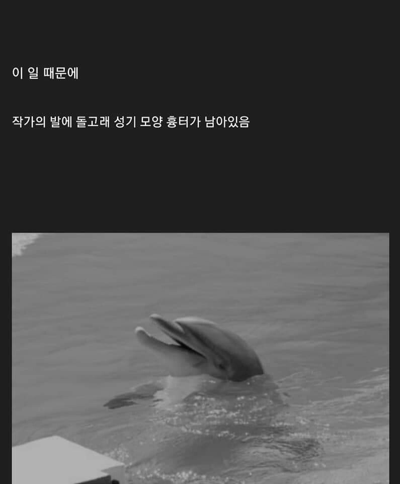 A man raped by a dolphin.