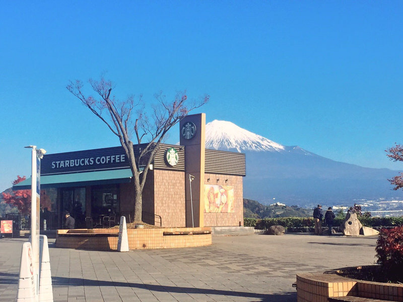 Hokkaido Starbucks View