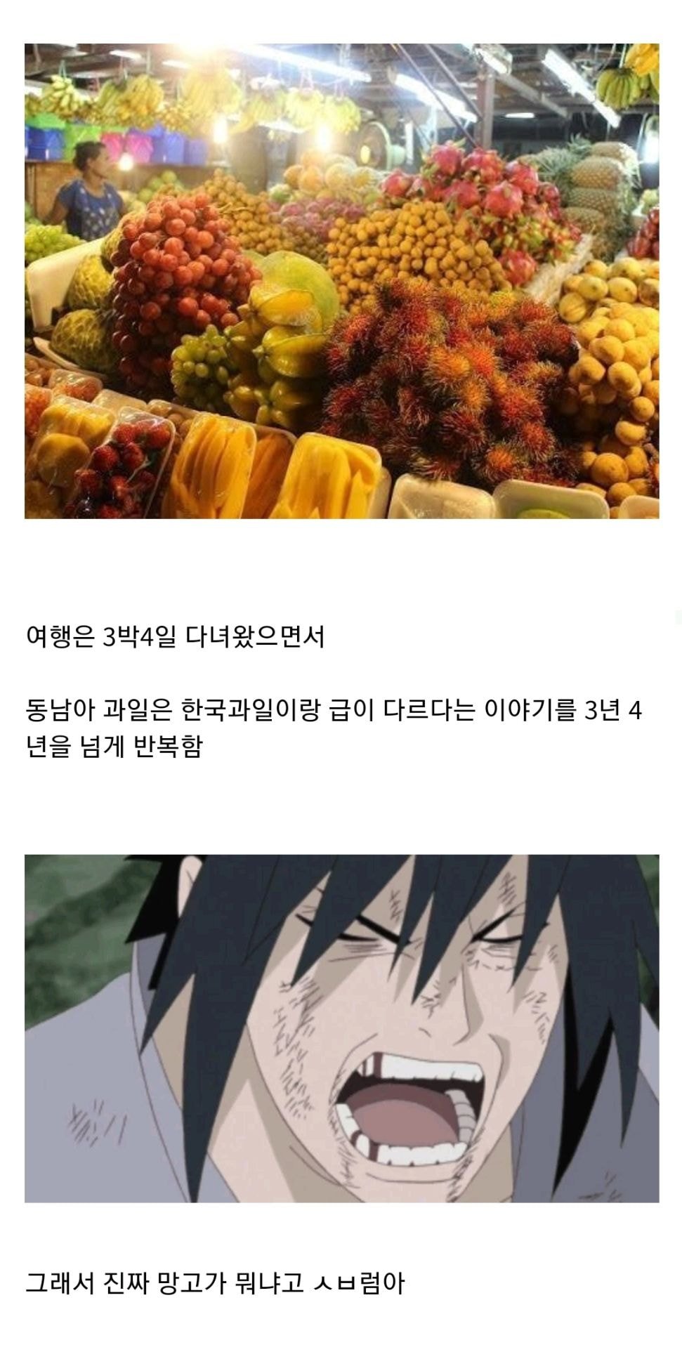 동남아 여행 다니는 친구 피해야 하는 이유