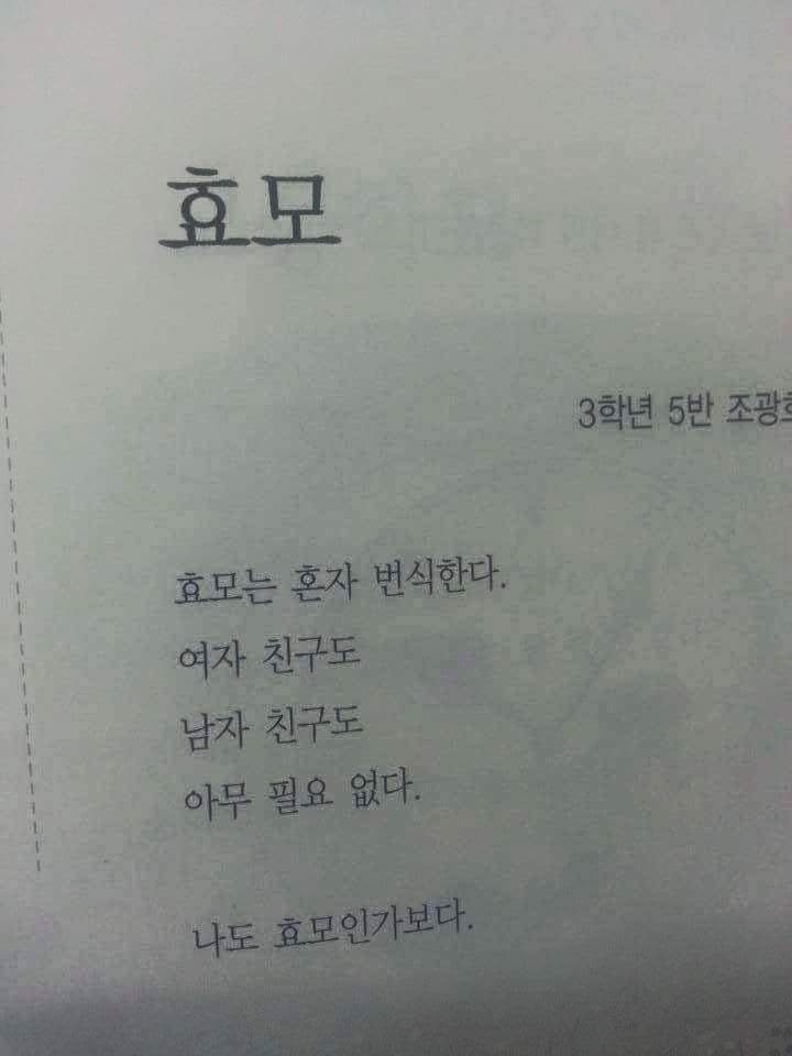 요즘 초등학생 문학수준