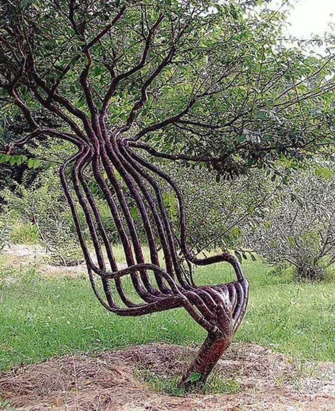 a ten-year wooden chair