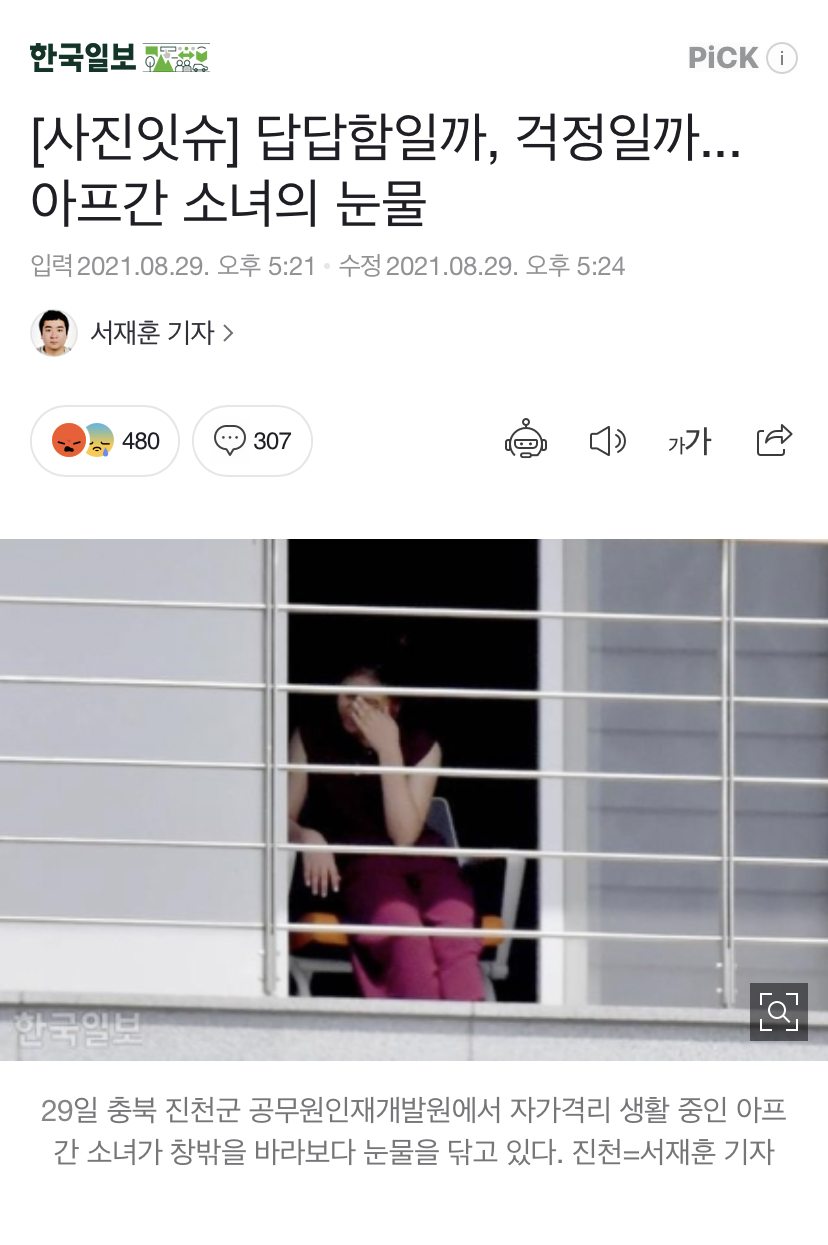 기레기 새끼들이 하는 짓