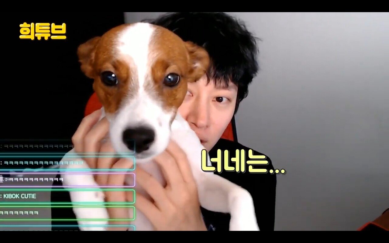 Say hello to Heechul and Yeoshi.