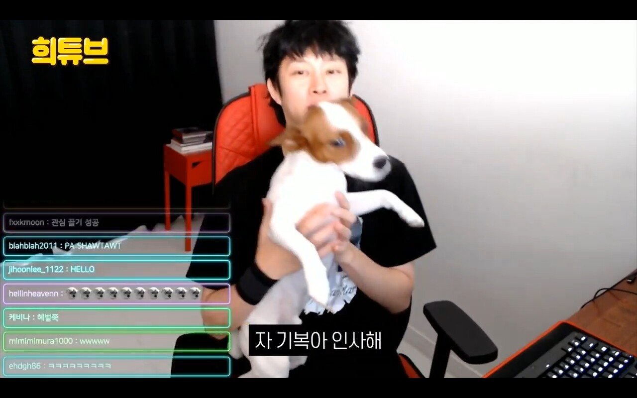 Say hello to Heechul and Yeoshi.