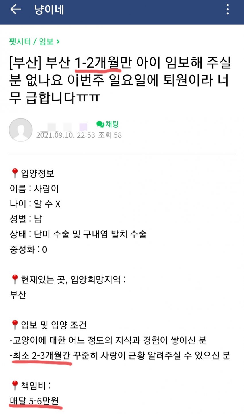 혁신적인 비즈니스