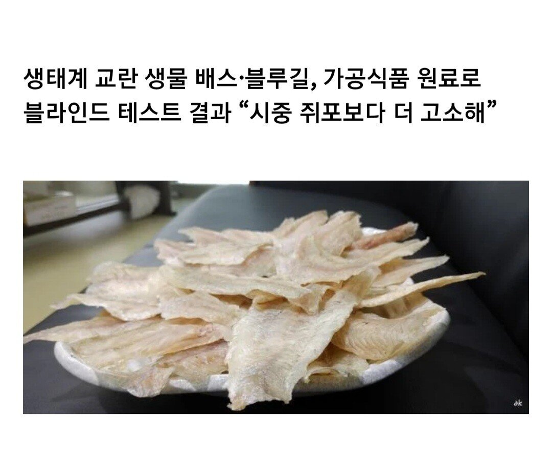 Koreans who are serious about eating...Fish species that disturb the ecosystem are also fish cakes and fish jerky.