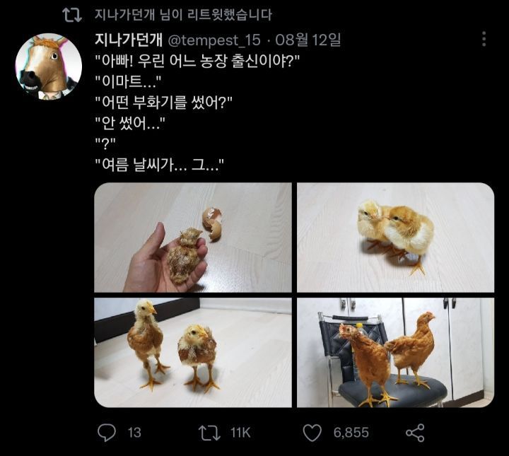 이마트산 공룡 부화일기