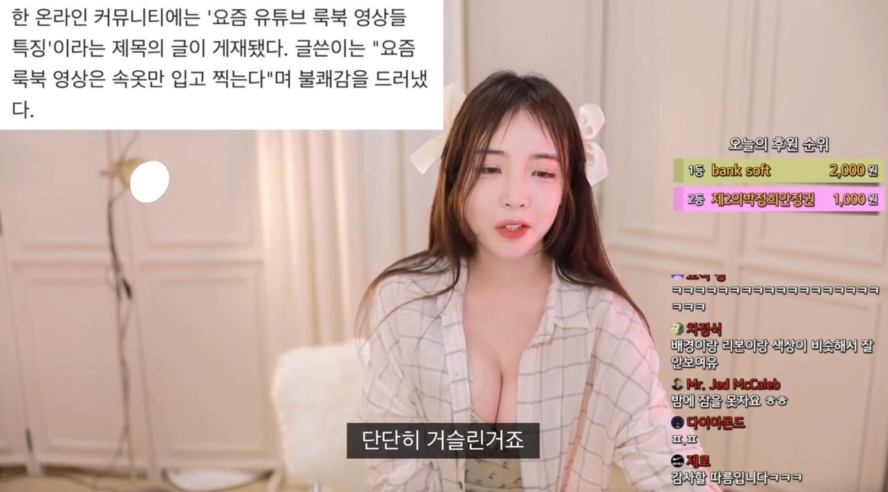 룩북불편충한테 일침넣는 누나