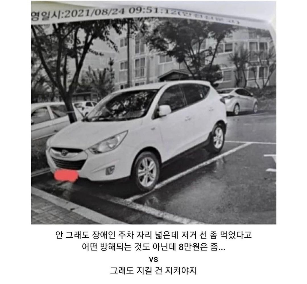 장애인전용 주차칸 라인밟아서 신고..jpg