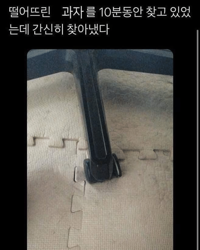 떨어트린 과자를 10분만에 간신히 찾아냈다　jpg