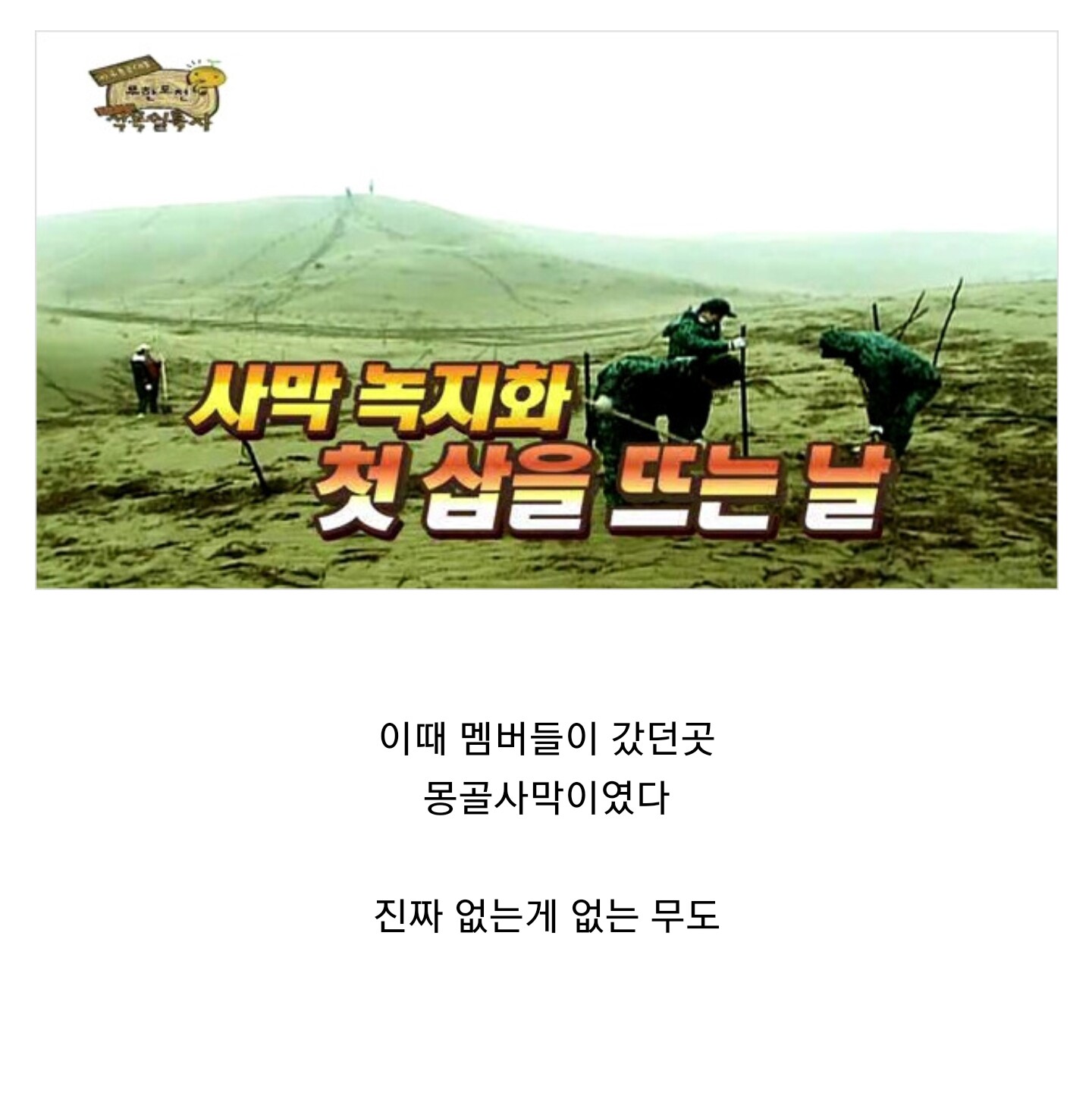 15년 전 몽골에 심은 나무들 근황