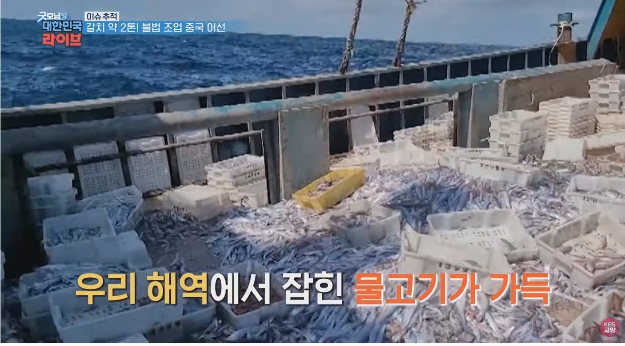 A Chinese fishing boat that illegally operates 2 tons of hairtail.