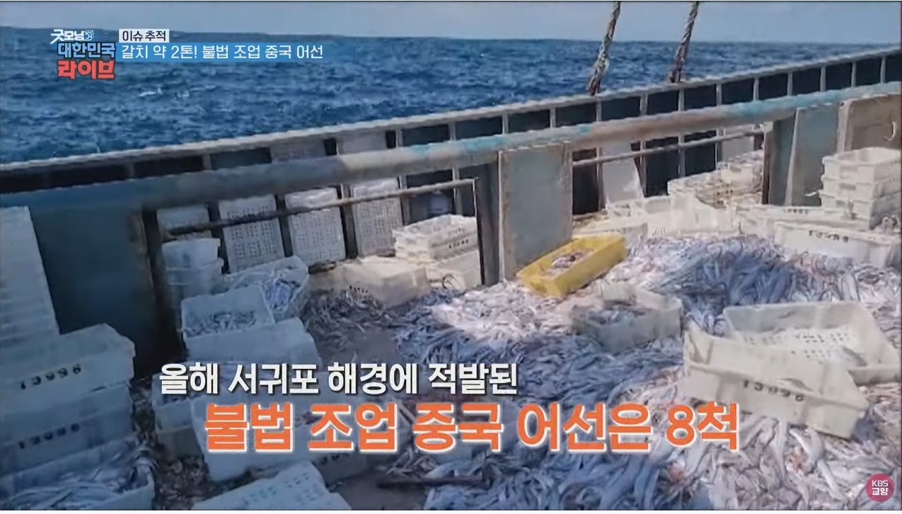 A Chinese fishing boat that illegally operates 2 tons of hairtail.