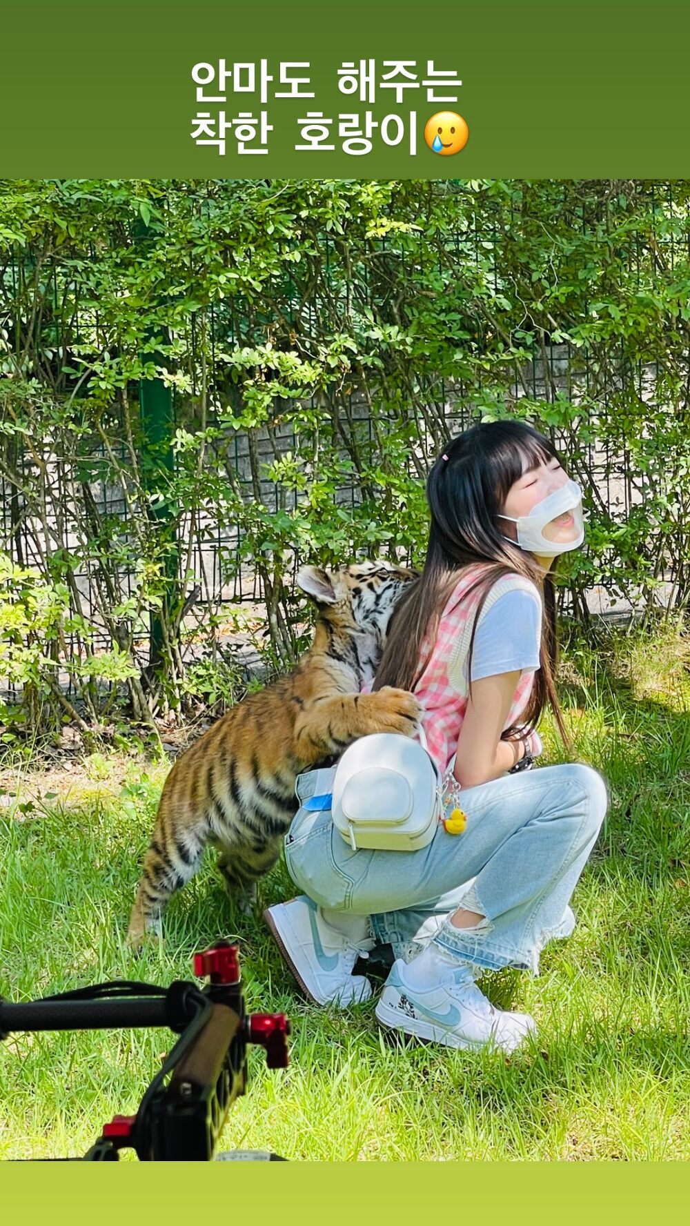 YE NA is caught in the back by a tiger.