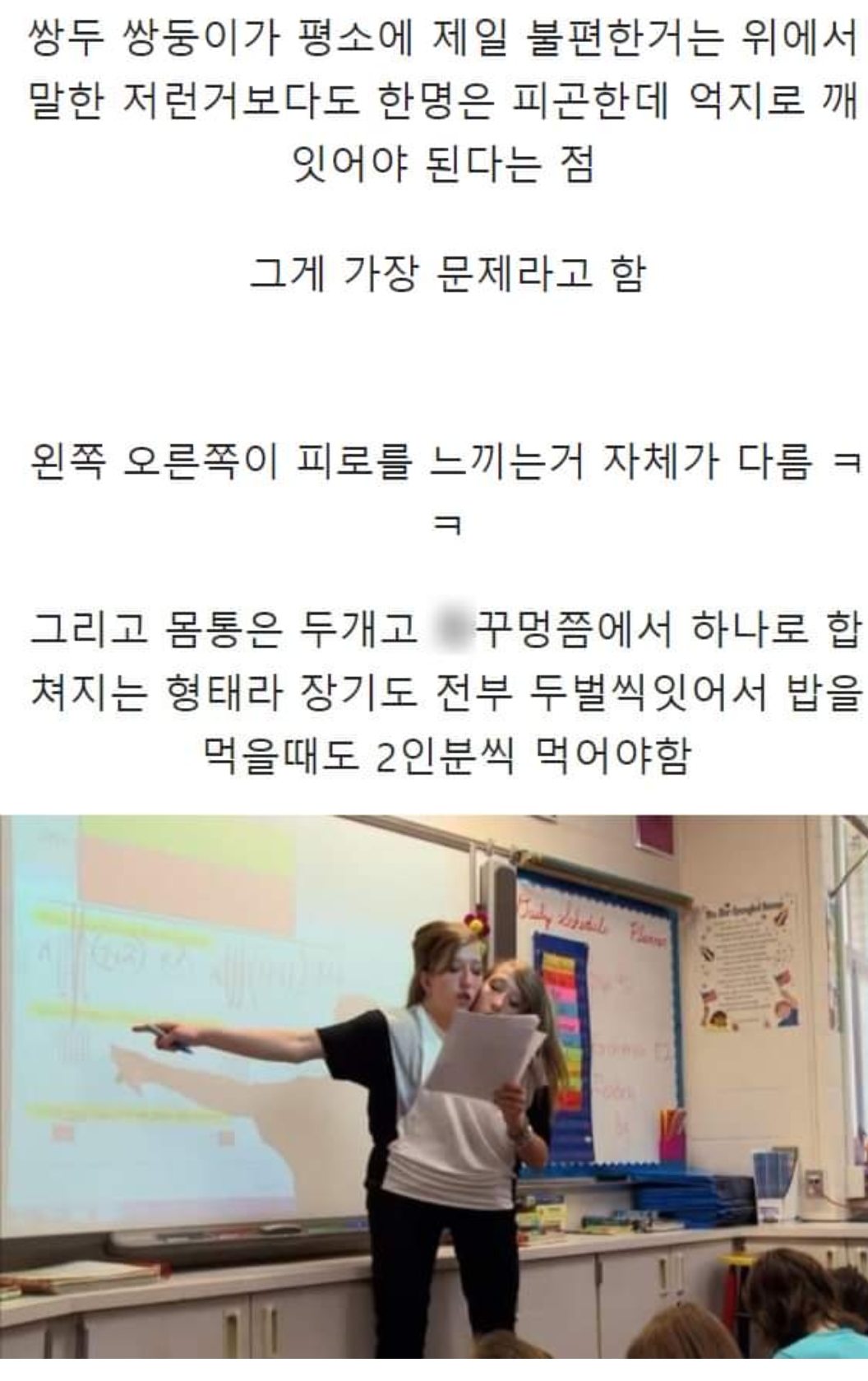 현시대 유일한 성인 샴쌍둥이.jpg