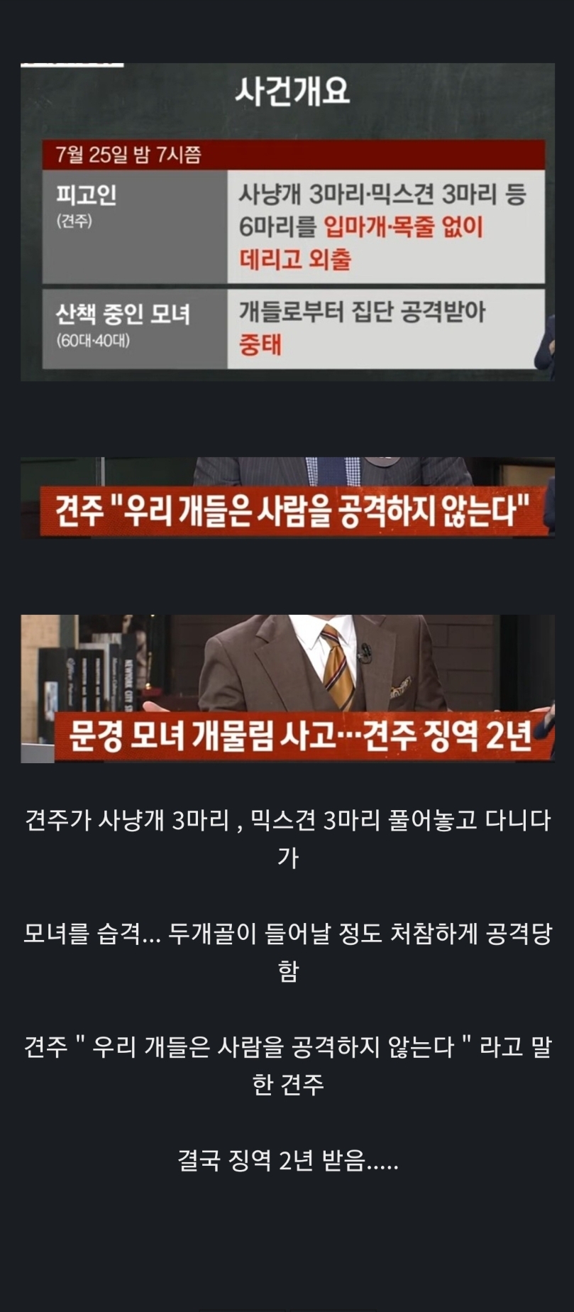 모녀 덮친 사냥개들, 견주 징역형