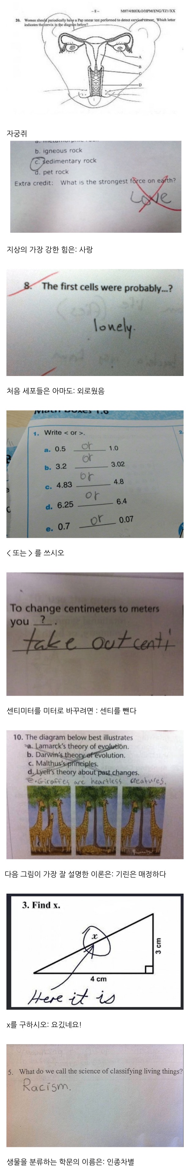 American elementary school students' wrong answers.jpg