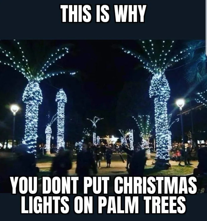 The reason why palm trees don’t decorate Christmas trees. Charles's
