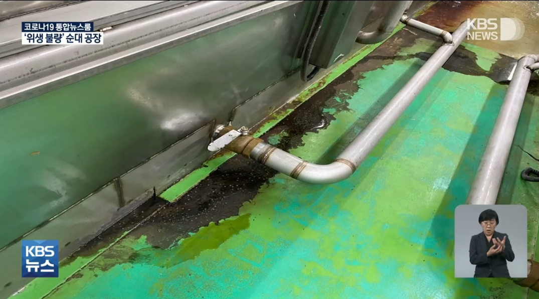 순대 생산공장 바닥 벌레투성이…조리시설 천장에선 물 뚝뚝