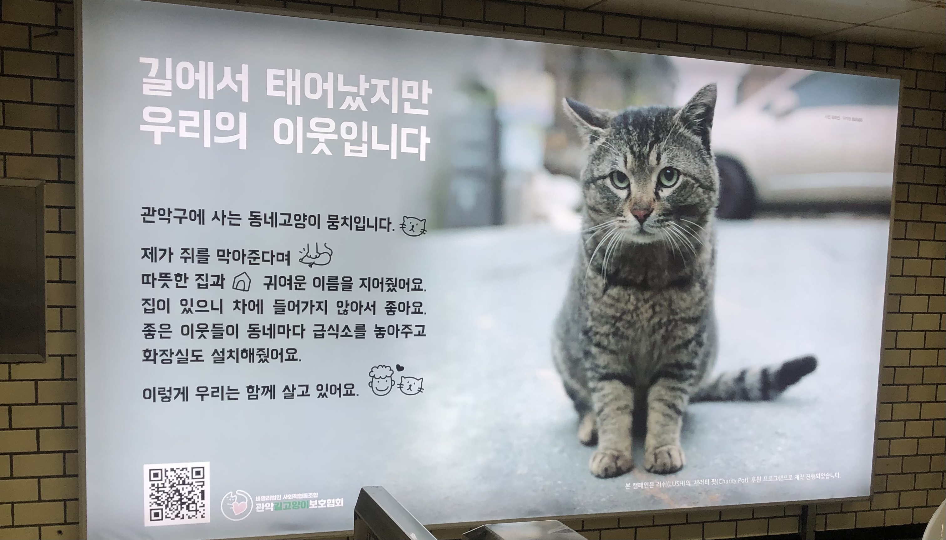 지하철에서 캣맘협회가 만든 광고 봄