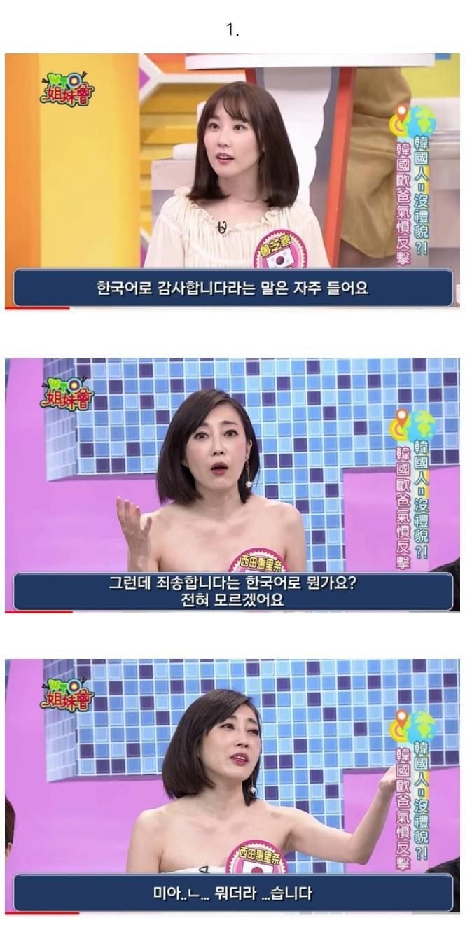 한국인 패널의 말빨