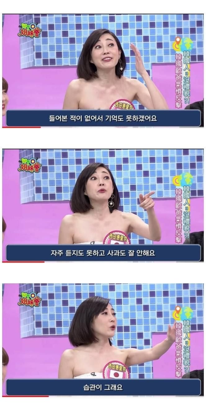 한국인 패널의 말빨