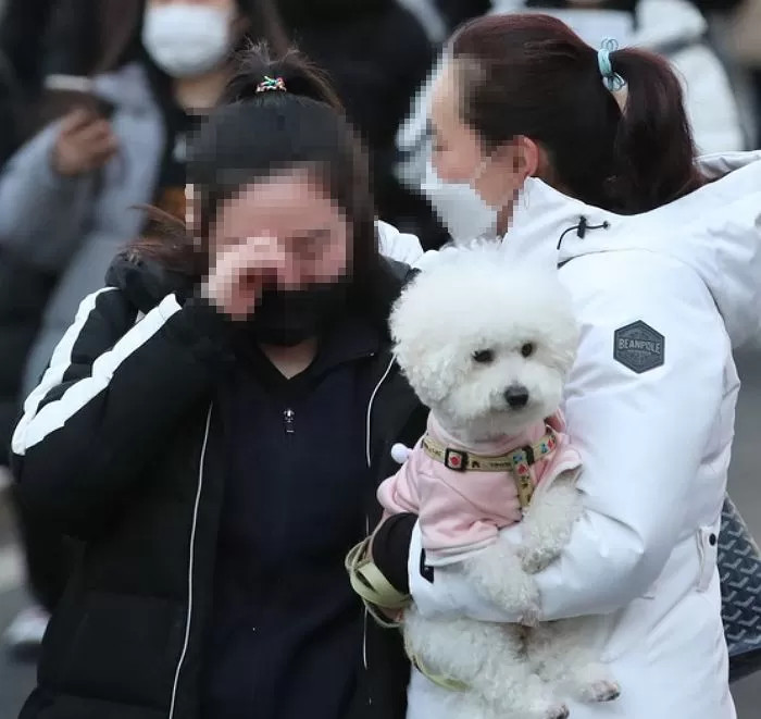 Puppies who came out to cheer for the college entrance exam.jpg