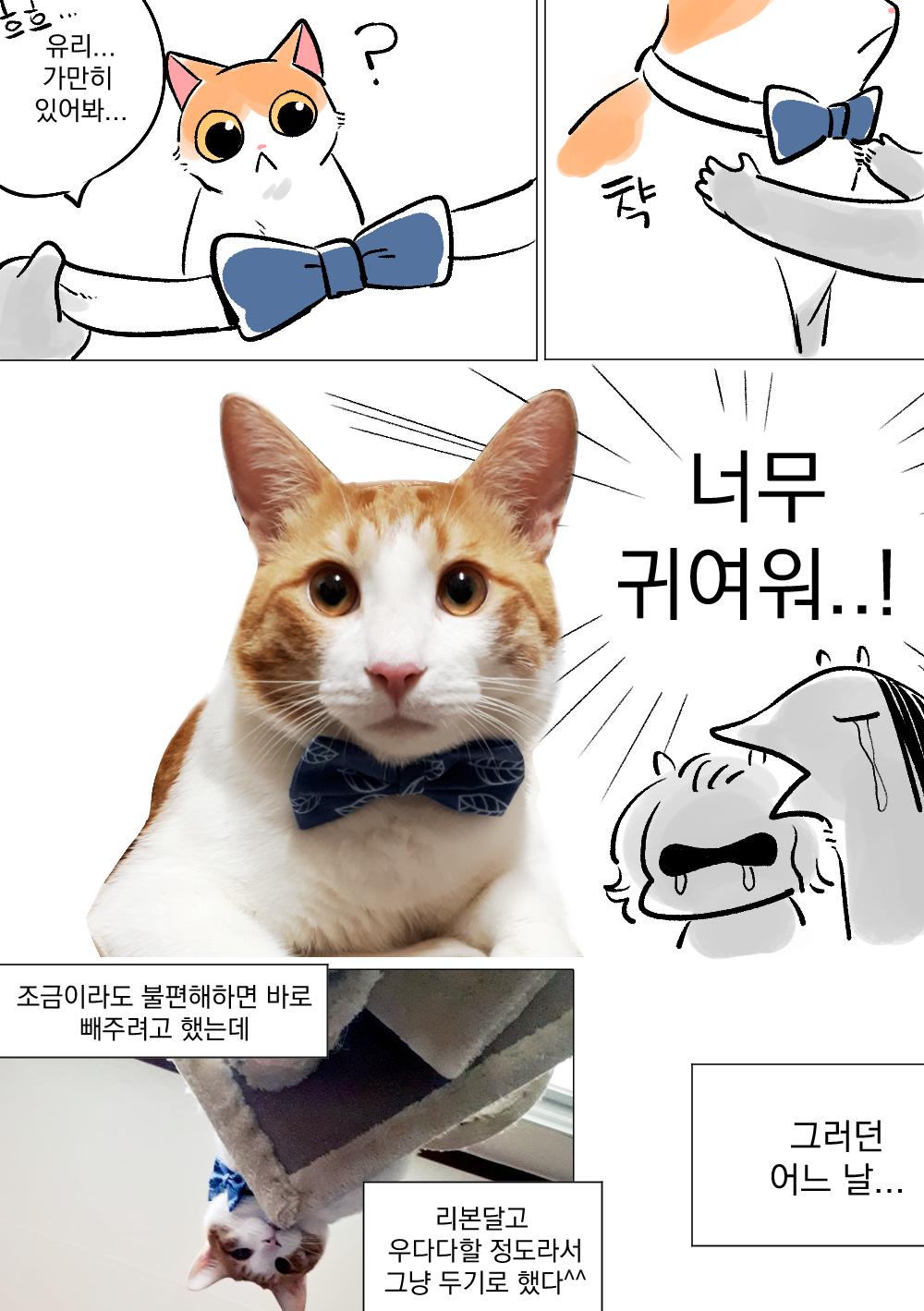 고양이가 리본목걸이 하는.manhwa