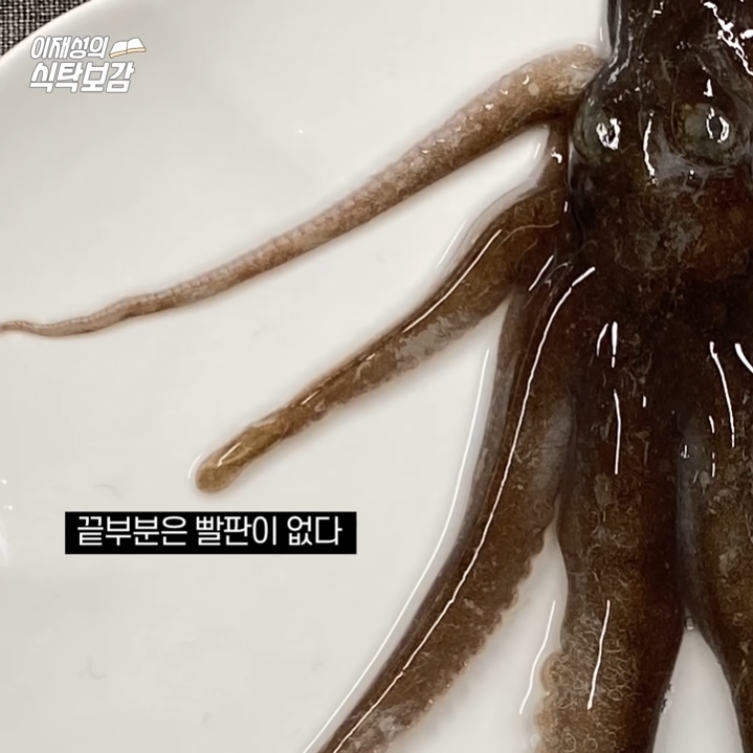 The secret of octopus legs.