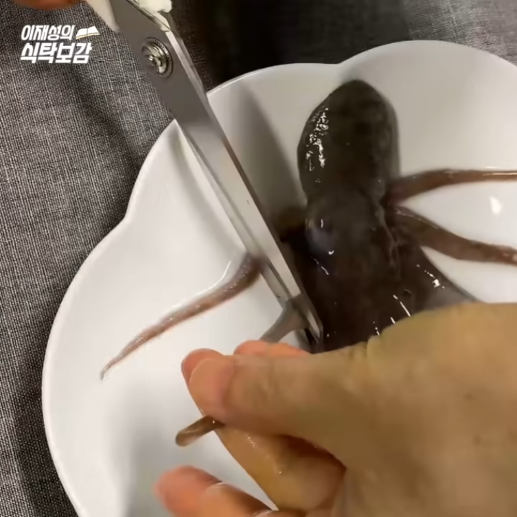 The secret of octopus legs.