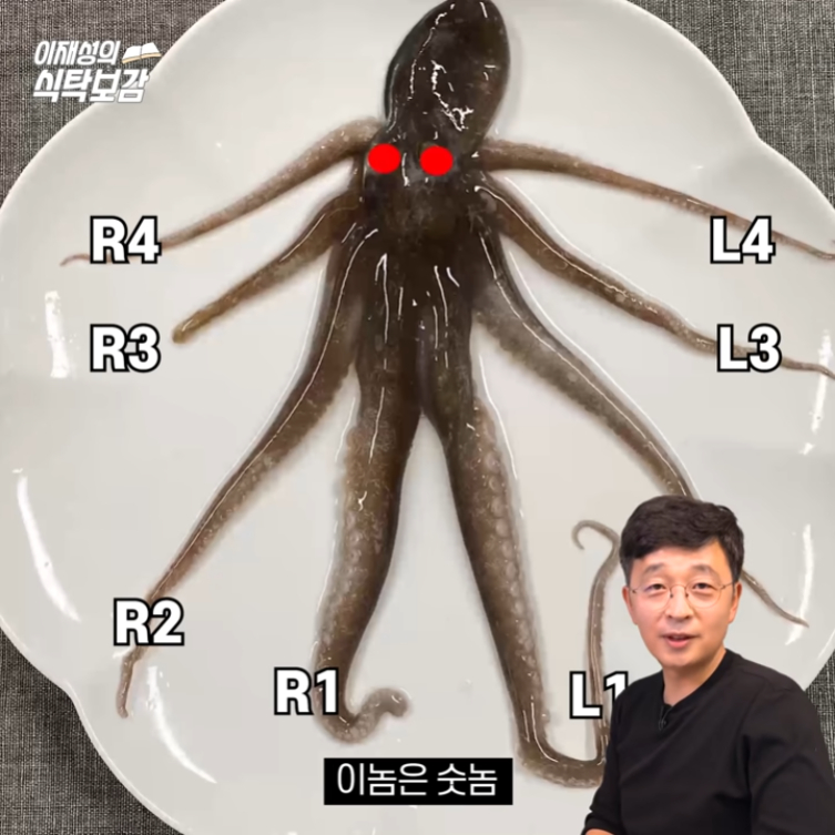 The secret of octopus legs.