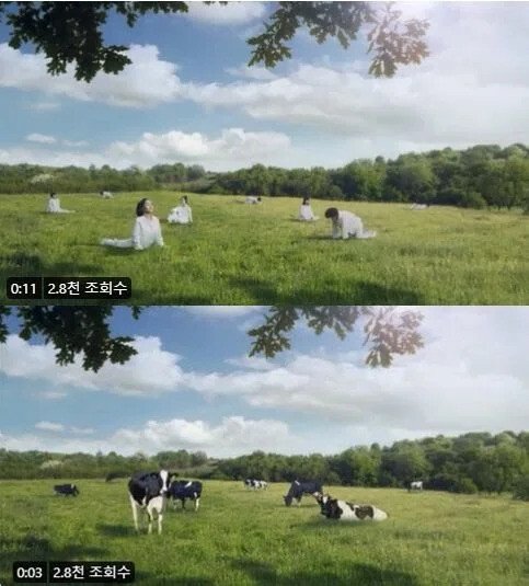 여성이 젖소로 변신.. 네티즌들, 서울우유 광고에 "역겹다"