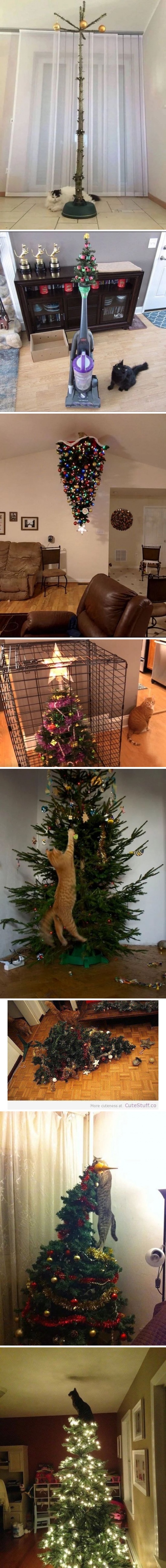 猫を飼う家のクリスマスツリーjpg