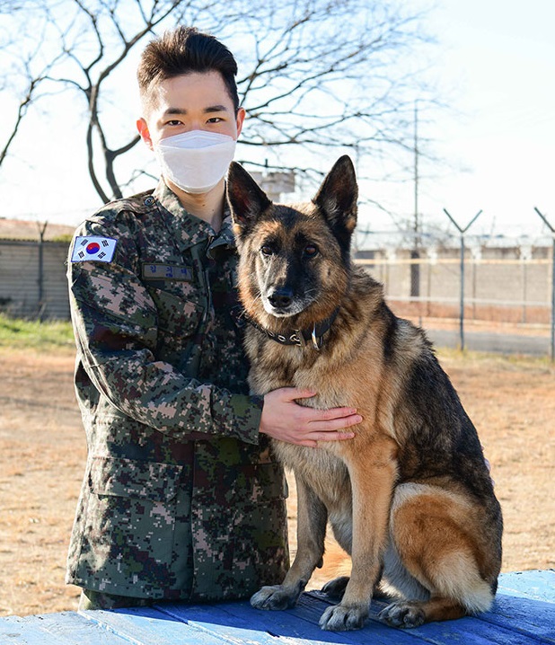 Air Force sergeant who was discharged with his dog.