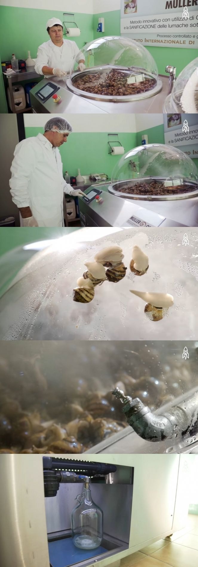 충격적인 달팽이 크림 제조방법