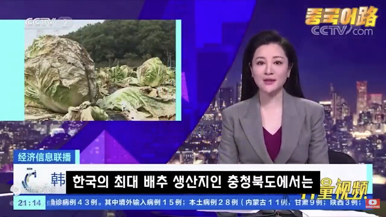 중국 뉴스가 보도한 한국의 모습.jpg