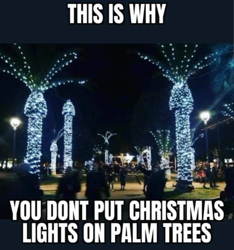 椰子の木にはクリスマスツリーの飾りが つかない理由。