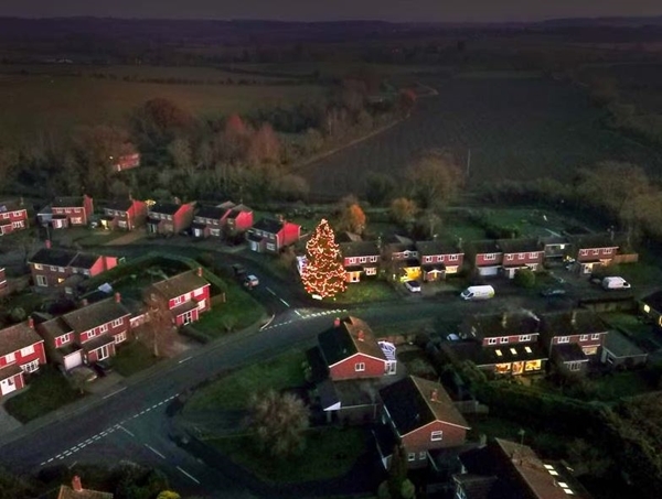 Christmas tree that I've grown for 43 years.