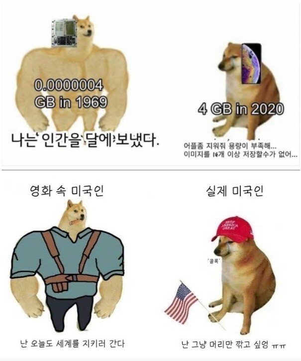 Muscle Shiba Dog Meme Collection.jpg