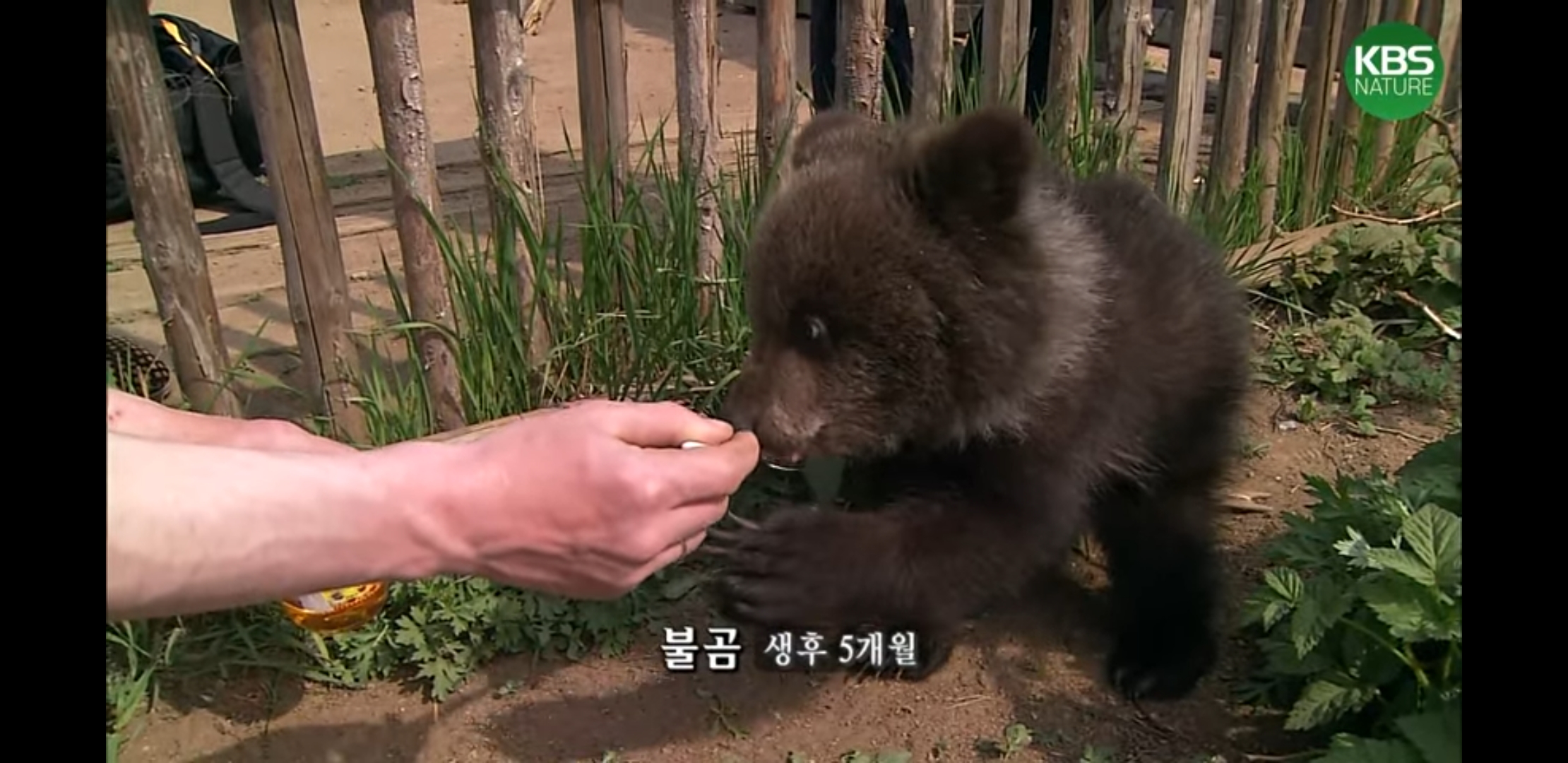 平凡な田舎のロシア人女子学生の日常