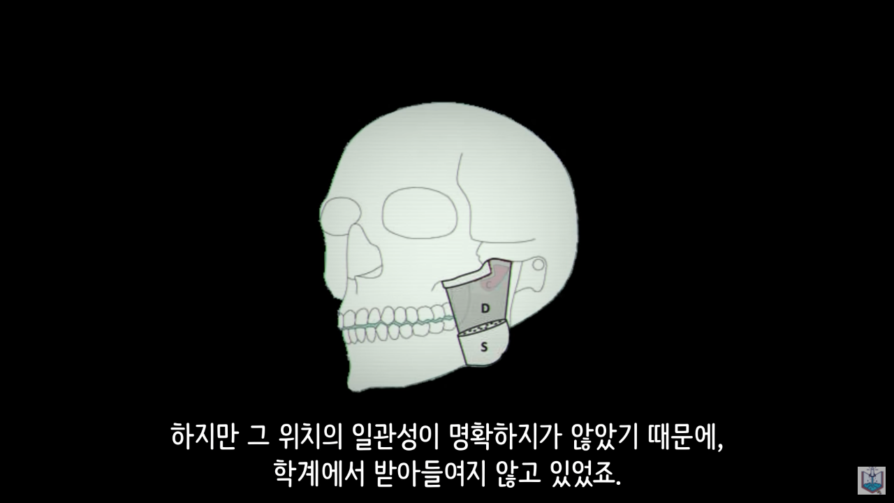 인간의 새로운 턱 근육이 발견됨.JPG