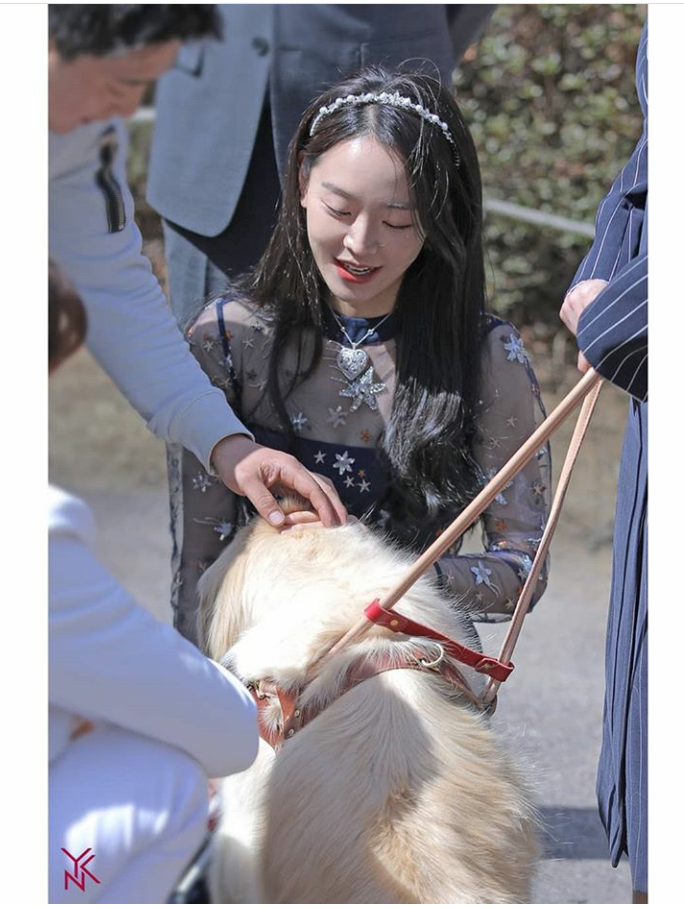 신혜선