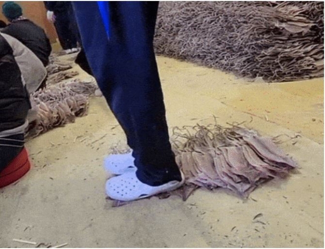 I found a company that stepped on dried squid shoes voluntarily.